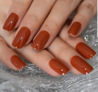 24 Autumn Glaze Burnt umber Medium Square press on Nails Glue on glaze orange | eBay Burnt Orange Red Nails, Spice Nail Color, September Orange Nails, Terracotta Color Nails, Color Of Autumn, Glazed Pumpkin Nails, Autumn Nail Polish Colors, Amber Nail Polish, Fall Season Nails Orange