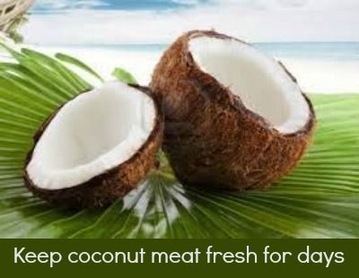 How to keep coconut meat fresh for days - http://thegardeningcook.com/storing-fresh-coconut-meat/