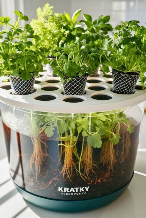 Diy Hydroponics System, Kratky Method, Hydroponic Gardening Diy, Vertical Hydroponics, Indoor Hydroponic Gardening, Diy Hydroponics, Smart Agriculture, Hydroponic Gardening System, Indoor Gardening Supplies