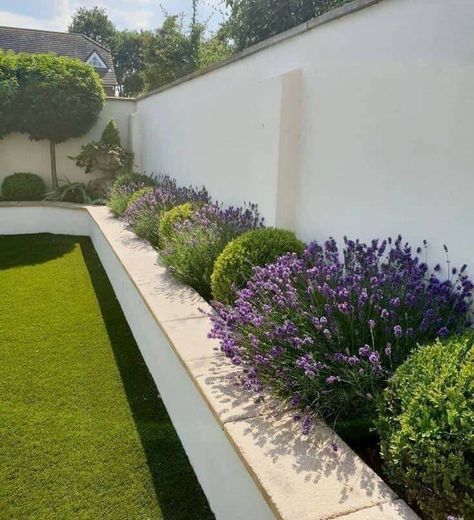 Minimalist Garden, Back Garden Design, Patio Garden Design, Trailer Remodel, Have Inspiration, Outdoor Gardens Design, Backyard Garden Design, Garden Landscape Design, Organic Modern Decor