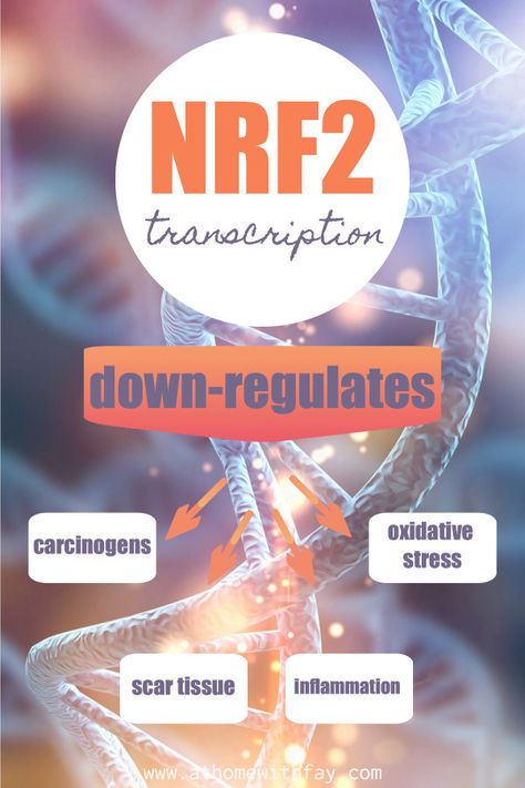 Nrf2 Activation, Lipid Metabolism, Anti Aging Diet, Scar Tissue, Anti Ageing, Body Sculpting, Weight Management, Fitness Diet, Healthy Weight