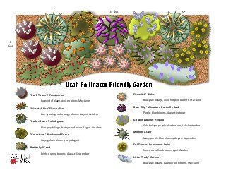 Pollinator friendly garden plan Utah Gardening, Pollinator Garden Design, Waterwise Landscaping, Xeriscape Front Yard, Trees For Front Yard, Butterfly Garden Design, Bee Friendly Garden, Garden Design Plans, Butterfly Bush