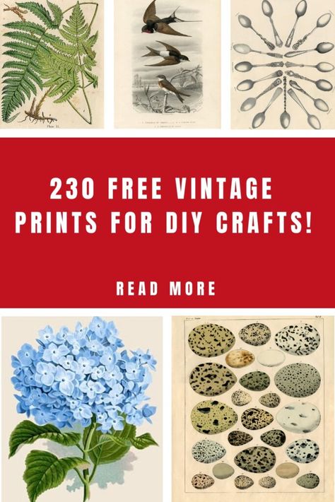 Vintage Art Deco Prints, Free Victorian Printables, Decopage Prints Free Printable, Vintage Clip Art Free Printables, Decoupage Vintage Printables Free, Free Vintage Printables Public Domain, Free Printable Wall Art Vintage, Free Botanical Printables, Vintage Prints Printable