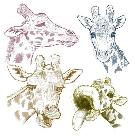 Giraffe Drawing, Magic Runes, Ear Tattoo Ideas, Giraffe Art, Art Basics, Disney Collage, Creature Artwork, Kids Art Class, White Tattoo