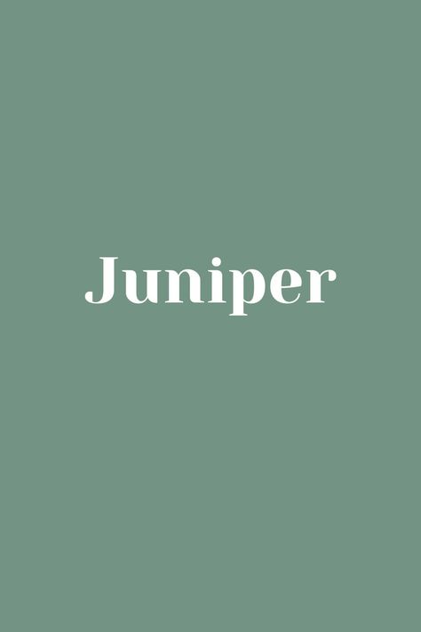 Juniper Name Aesthetic, Stuffie Names, Juniper Name, Breanna Core, J Baby Names, Child Names, The 5 Elements, Baby Baker, Names I Love