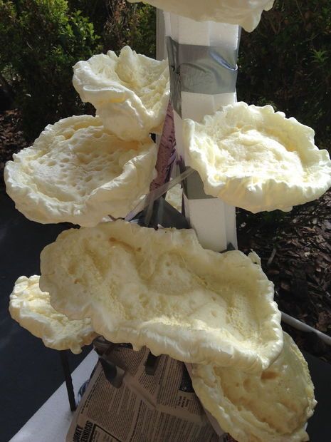 Spray Foam Coral Making Coral Reef, Spray Foam Coral Reef, Paper Mache Coral Reef, Scuba Vbs Stage Decorations, Spray Foam Coral, Glow In The Dark Under The Sea, Under The Sea Dance Decorations, Moana Props, Spray Foam Crafts