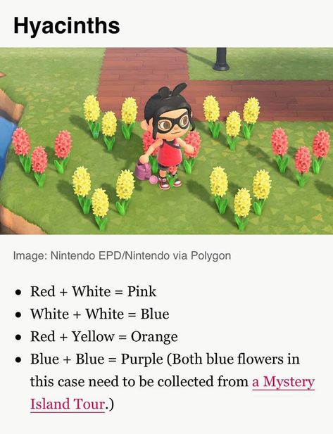 How To Make Purple, How To Make Pink, Blue Hyacinth, Purple Hyacinth, Animal Crossing Characters, Flower Guide, New Animal Crossing, Pattern Code, Animal Crossing Game