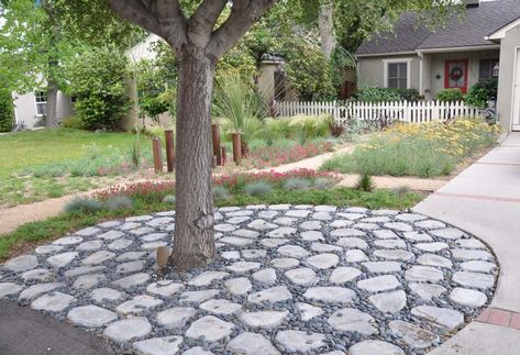 Rock Circle for Tree Tree Circle Landscape, California Native Landscape, Presentation Sample, Water Saving Tips, Trees Landscaping, Blue Fescue, Slideshow Presentation, Sustainable Landscaping, Future Garden