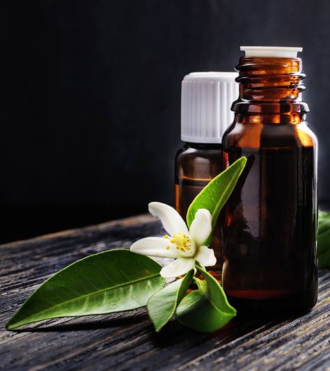 Did you ever use neroli oil? If not, then it’s high time you start using it if you don’t want to miss out on one of the greatest benefits nature can offer. Read on to know more Vetiver Oil, Neroli Oil, Making Essential Oils, Holistic Health Remedies, Ginger Essential Oil, Essential Oils For Skin, Patchouli Essential Oil, Essential Oil Benefits, Frankincense Essential Oil