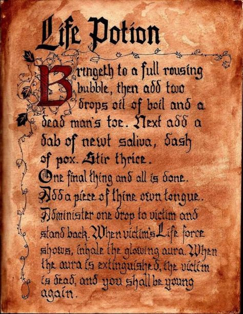 Hocus Pocus Winifred Sanderson Spell Book incantation:  Life Potion. Hocus Pocus Halloween Party Decorating &  Ideas. Hocus Pocus Spells, Hermanas Sanderson, Hocus Pocus Winifred, Hocus Pocus Spell, Green Punch, Halloween Spell Book, Hocus Pocus Spell Book, Hocus Pocus Party, Halloween Spells