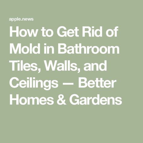 How to Get Rid of Mold in Bathroom Tiles, Walls, and Ceilings — Better Homes & Gardens How To Get Rid Of Mold On Bathroom Ceiling, Mold In Shower How To Get Rid Of, Cleaning Mold Off Bathroom Ceiling, How To Get Rid Of Mold On Walls, Mold On Bathroom Ceiling, Remove Mold Stains, Mold In Bathroom, Cleaning Tile Floors, Cleaning Mold