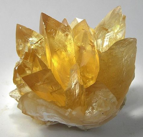 My Honey Calcite Crystal Mining Experience - Hibiscus Moon Crystal Academy | Crystal Healing | Crystal Healer | Crystal Therapy | Certified Crystal Healer | Crystal Grids | Crystal Healing Course Crystal Mining, Honey Calcite Crystal, Ancient Paper, Fort Drum, Yellow Crystals, Afternoon Light, Crystal Aesthetic, My Honey, Honey Calcite