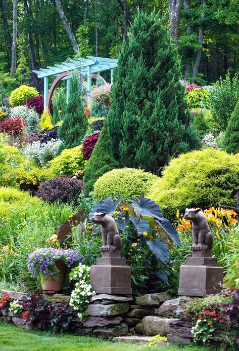 What's friendlier than a fence, cheaper than a wall, and prettier than lattice when you'd like to screen your yard from view? One of these evergreen trees is the answer. It may take longer to reach a size to fully do the job, but it will likely outlast any of these other options for creating privacy and look better, too. #gardening #gardenideas #trees #privacytrees #besttrees #evergreentrees #bhg Evergreen Trees For Privacy, Juniperus Virginiana, Landscape Planning, Evergreen Landscape, Landscaping Around Trees, Leyland Cypress, Orchard Garden, Evergreen Hedge, Broadleaf Evergreen