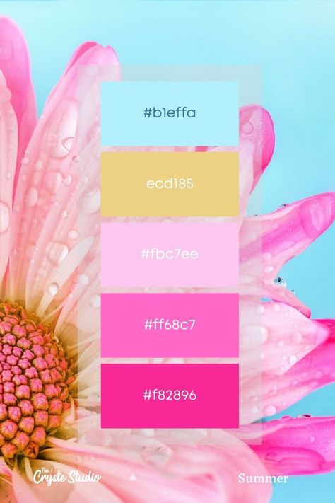 Summer Color Palettes, Hex Color Palette, Color Palette Challenge, Color Schemes Colour Palettes, Summer Color Palette, Color Palette Bright, Hex Codes, Hex Color Codes, Brand Color Palette