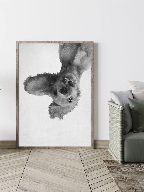 Pet Picture Wall Ideas, Dog Picture Ideas Decor, Wall Design Nursery, Dog Room Decor, Teen Wall Art, Wall Aesthetic, Dog Home Decor, Dog Frames, Pet Hotel