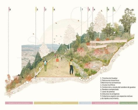 Landscape Design Presentation Board, Landscape Architecture Rendering Styles, Park Illustration Background, Landscape Architecture Portfolio Cover, Section Landscape Architecture, Landscape Visualisation, Concept Section, Landscape Section, Landscape Architecture Presentation