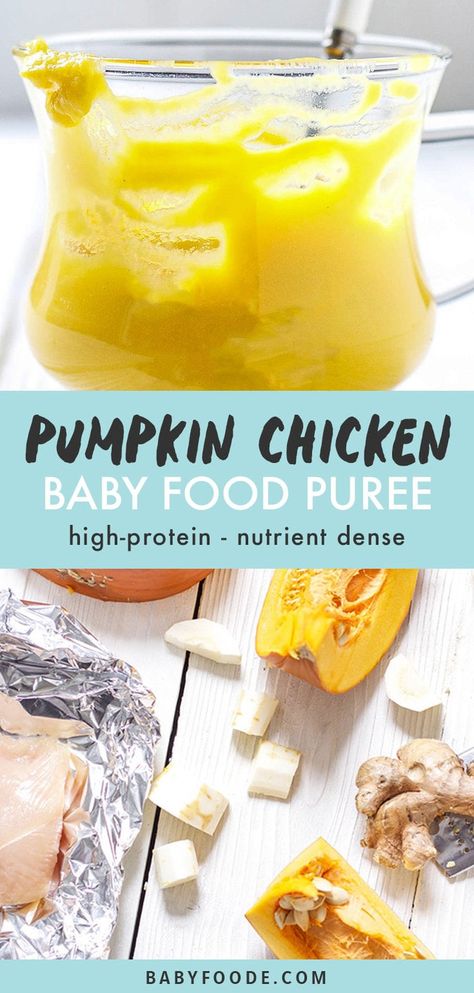 This Pumpkin Chicken Baby Food Puree is a delicious fall inspired recipe for baby. Made with pumpkin, chicken, parsnips and ginger for a fun and nutritious take on the tastes of the season. Great for 6+ months - stage 2 baby food. #babyfood #pumpkin #chicken #puree Homemade Baby Puffs, Homemade Baby Snacks, Homemade Baby Food Storage, Stage 2 Baby Food, Recipe For Baby, Pumpkin Chicken, Chicken Baby Food, Baby Food Puree, Teething Biscuits