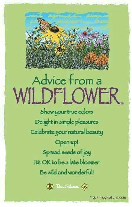 Wild Flower Quotes, Garden Quotes, Flower Quotes, Advice Quotes, True Nature, Art Card, Nature Quotes, Spirit Guides, Good Advice