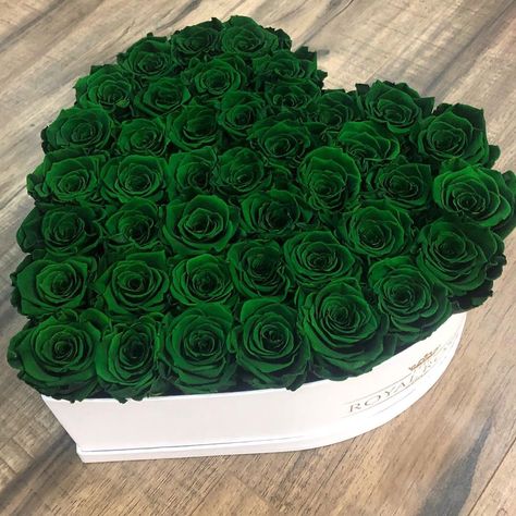 The Royal Roses on Instagram: “Who is in love with our Forest Green🌳 Luxury roses??!” Hybrid Tea Roses Care, Red Climbing Roses, Green Roses, I Love Green, Rose Seeds, Red Rose Bouquet, Beautiful Flower Designs, Heart Shape Box, Flowers Bouquet Gift