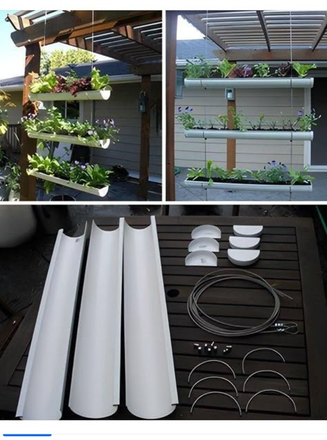 Window Garden Ideas, Hydroponic Gardening Diy, Gutter Garden, نباتات منزلية, Plants Growing, Vertical Gardening, Vertical Gardens, Garden Windows, Hydroponic Gardening