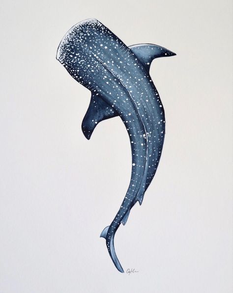 Whale Shark Facts, Immagini Grinch, Shark Watercolor, Acid Paper, Shark Painting, Shark Drawing, Artwork Watercolor, Animals Illustration, Shark Art