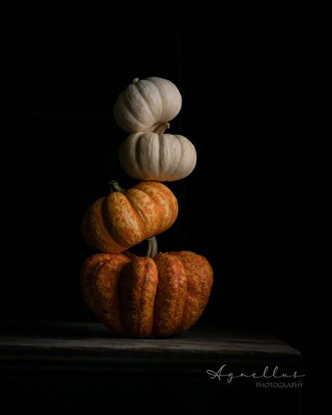 Winter Still Life Photography, Pumpkin Still Life Photography, Autumn Still Life, Still Life Pictures Photographs, Pumpkin Food Photography, Pumpkin Aesthetic, Pumpkin Photography, Vegetables Photography, Still Life Pictures