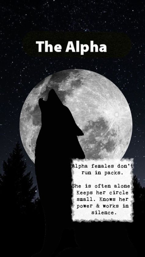 Alpha Wolf Female, Wolf Quotes Female, Female Wolf Aesthetic, Alpha Female Aesthetic Wallpaper, Alpha Female Wallpaper, Wolf Quotes Alpha, Wolves Aesthetic Wallpaper, Alpha Wolf Aesthetic, Wolf Quotes Alpha Female