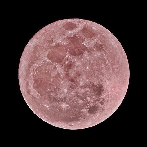 Asian Bratz, Pink Moon, April 13, Moon, Pink, On Instagram, Instagram, Black