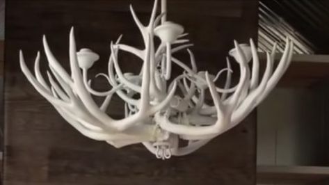 DIY Deer Antler Chandelier | DIY Joy Projects and Crafts Ideas Antler Chandelier Diy, Decanter Lights, Diy Deer Antlers, How To Make Trees, Deer Antler Chandelier, Tall Ladder, Chandelier Diy, Diy Joy, Antler Chandelier