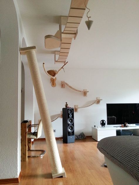 Diy Climbing Wall, Cat Playground, Cat Cute, Cat Room, Cat Tree, Cat Cat, For Cats, Room Decor Bedroom, Small Furniture