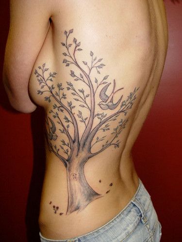 Giving Tree Tattoos, Girl Rib Tattoos, Tattoo Son, Willow Tree Tattoos, Cage Tattoos, Rib Tattoos For Women, Family Tree Tattoo, Ribcage Tattoo, Dragon Tattoo For Women