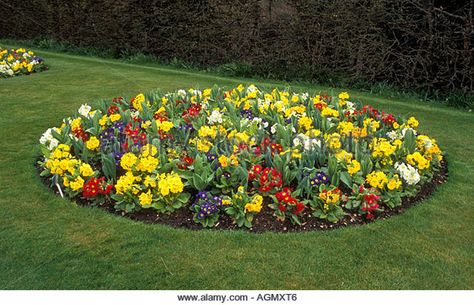 Round Flower Bed Stock Photos & Round Flower Bed Stock Images - Alamy Small Round Flower Bed Ideas, Curved Flower Beds, Circular Flower Bed Ideas, Round Flower Bed Ideas, Circle Flower Garden, Circle Flower Bed, Circular Flower Bed, Patio Edging, Rose Plant Care