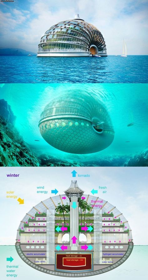 Floating Hotel | Floating Hotel | Mind Blown Pictures Collage, Floating Hotel, Noah S Ark, Future City, Amazing Pictures, Under Water, Futuristic Architecture, Hangzhou, Amazing Architecture