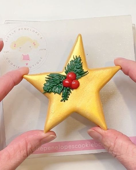 Victoria~Decorated Sugar Cookies~Keller,TX on Instagram: "This Christmas star cookie is so versatile and perfect for sets year round! Come decorate it with me in my nutcracker themed Christmas cookie decorating class! Details in bio! • • Cutter @night.owl.icing designed by @thecookiegallery Icing colors and Golden Halo Silver Pearl from @thesugarart -code LPC15 for discount! • • #christmascookies #goldenstar #christmascookiesfordays #cookiedecorating #cookiedecoratingvideo #cookieclass #decor Star Cutout Cookies, Decorated Star Cookies, Royal Icing Cookies Designs Christmas, Christmas Star Sugar Cookies, Christmas Star Cookies Decorated, Star Sugar Cookies Decorated, Christmas Tree Cookies Royal Icing, Star Christmas Cookies, Star Cookies Decorated