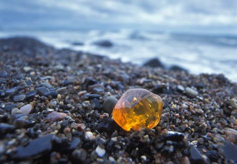 striking Amber Gemstone Aesthetic, Amber Stone Meaning, Gem Hunt, Rock Identification, Fossil Hunting, Rocks And Fossils, Rock Hunting, Road Trip Destinations, Amber Stone