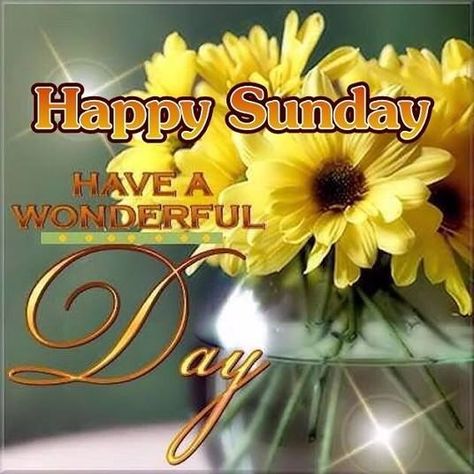 Happy Sunday, Have A Wonderful Day Funny Good Morning Greetings, Good Morning Sunday Pictures, Happy Sunday Pictures, Blessed Sunday Morning, Happy Sunday Images, Good Morning Sunday Images, Funny Good Morning Images, Happy Sunday Morning, Sunday Morning Quotes