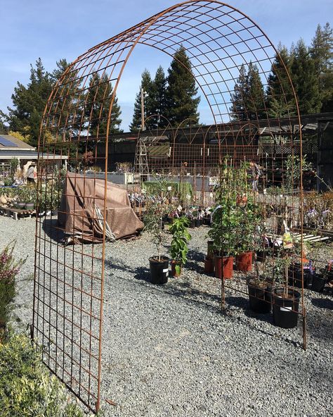 “Garden arch made with 5x5 welded wire mesh” lloyd.kahn instagram Allotment Inspiration, Veg Gardens, Cattle Panel Trellis, Vegetable Garden Planters, Garden Archway, Raised Vegetable Gardens, Diy Garden Trellis, Vertical Garden Design, Diy Trellis