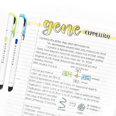 yellow genetics study notes ★·.·´¯`·.·★ follow @motivation2study for daily inspiration Expression Aesthetic, Homework Drawing, Studying Goals, Note Organizer, School Handwriting, Yellow Notes, Revision Ideas, Calligraphy Journaling, Nice Notes