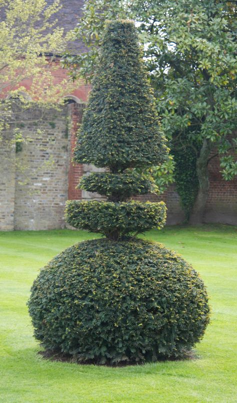 MATISSE: THE CUT OUTS AND THE GARDEN AT PETERSHAM Topiaries Garden, Topiary Forms, Spring Border, Garden Hedges, Topiary Plants, Zen Garden Design, Topiary Garden, Japan Garden, Boxwood Topiary