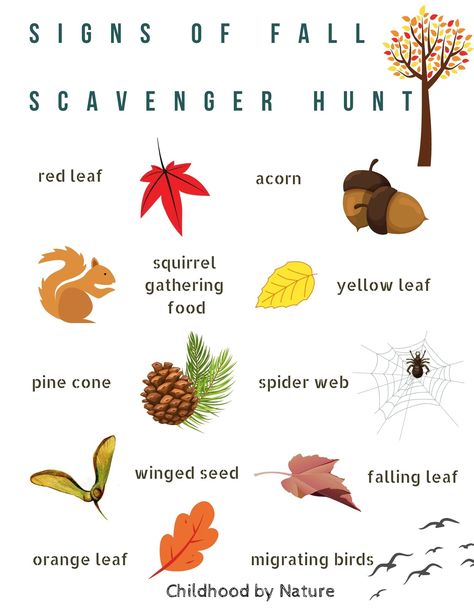 With leaves literally falling to the ground and acorns all around, finding the loose parts of fall during a fall nature scavenger hunt is always a fun way for a child to tune into nature. Because we're sure you have a lot going on, we created a fall nature scavenger hunt complete with freedownload to get your kids on the hunt in no time! Fall Nature Scavenger Hunt, Leaf Scavenger Hunt, Fall Scavenger Hunt, Fall Family Activities, Nature Scavenger Hunt, Fall Nature, Bird Migration, Exploring Nature, Loose Parts