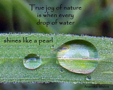 Nature quote about a drop of water. Water Drop Quotes, Mother Nature Quotes, Water Quotes, Nature Quotes Adventure, Quotes Nature, Drops Of Water, Weekday Quotes, Garden Quotes, Nature Water