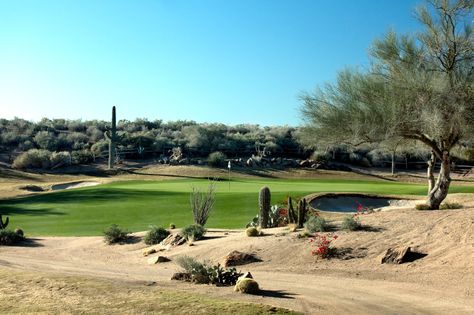 TPC Scottsdale - Champions Course (AZ): Top Tips Before You Go (with Photos) - TripAdvisor Tpc Scottsdale, Arizona Golf, Arizona Landscape, Airbnb Host, Sonoran Desert, Scottsdale Arizona, Stinger, Golfers, Top Tips