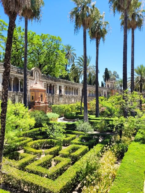 #Royal#Alcazar#Seville#Spain Royal Alcazar Seville, Seville Alcazar, Sevilla Aesthetic, Portugal Restaurant, Spain Life, Colors Room, Alcazar Seville, Travel Vibes, Spanish Style Homes