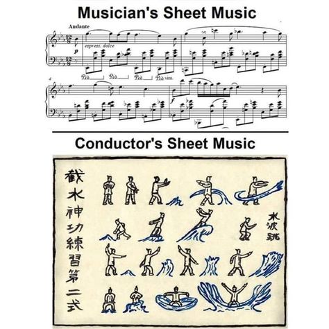 . . . . . #orchestrahumor #orchestramemes #musicmemes #orchestralhumor #memesdaily #quoteoftheday #funnymemes #tipoftheday #RDCE #dailyquotes #quoteoftheday #quotestoliveby Flute Jokes, Orchestra Problems, Flute Memes, Viola Jokes, Orchestra Humor, Musician Jokes, Music Puns, Music Theory Lessons, Musician Humor