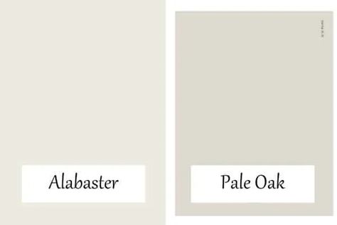 Colors That Go With Sw Alabaster, Pale Oak And Alabaster, Pale Oak Vs Alabaster, Creamy White Paint, Interior House Paint Colors, Apple House, Light Grey Paint Colors, Sherwin Williams Alabaster, Paint House