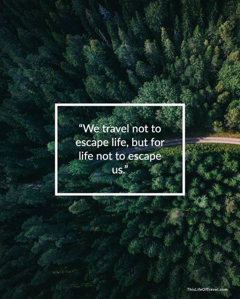 30 Amazing Travel & Vacation Quotes: “We travel not to escape life, but for life not to escape us.” Escape Quotes Travel, End Of Vacation Quotes, Escape Quotes, End Of Summer Quotes, Travel Captions For Instagram, Friday Inspirational Quotes, Quotes Amazing, Vacation Captions, Az Art