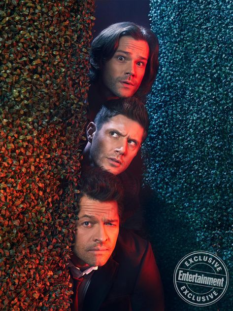 Supernatural Star, Supernatural Tumblr, Supernatural Wallpaper, Supernatural Pictures, Supernatural Quotes, Supernatural Tv Show, Casting Pics, Supernatural Memes, Supernatural Fans