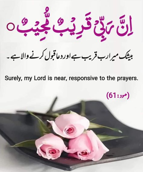 Islamic Dps, Qurani Ayat, Form Filling, Eid Mubarek, Islamic Image, Islamic Duas, Allah Loves You, Quran Kareem, Alhumdulillah Quotes