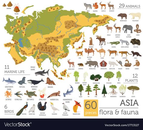 Elements Animals, Animal Infographic, Montessori Geography, Fun Facts About Animals, Montessori Toddler Activities, English Lessons For Kids, Animal Facts, Illustrated Map, Animals Of The World