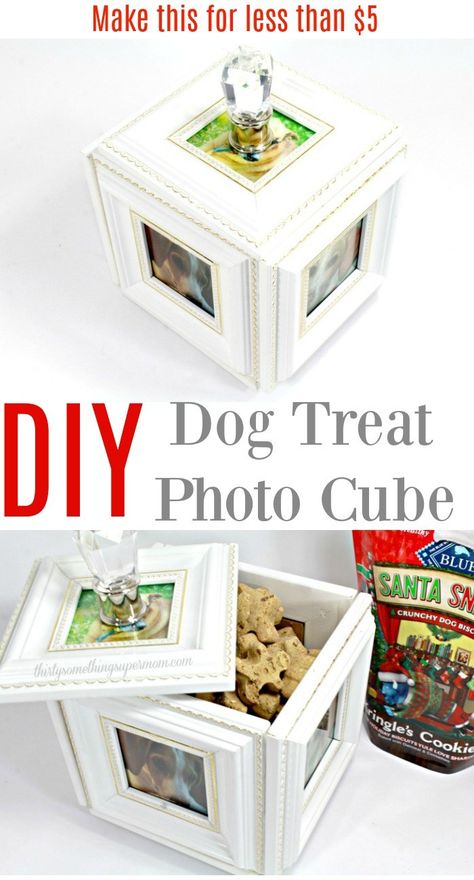 DIY Dog Treat Photo Cube - ThirtySomethingSuperMom Diy Gifts For Pet Lovers, Diy Photo Cube, Diy Crafts For Boyfriend, Dogs Diy Projects, Photo Cube, Pet Treat, Photo Cubes, Treat Jar, Diy Dog Treats